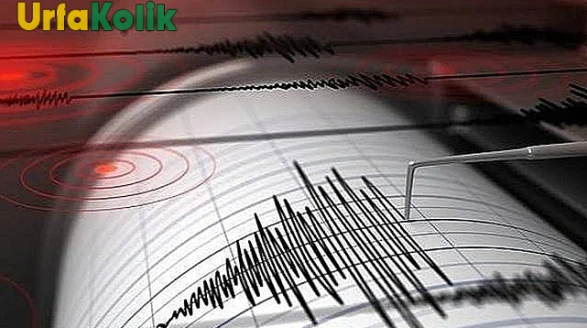 4.2 Büyüklüğündeki Deprem Yerel Halkı Endişelendirdi!