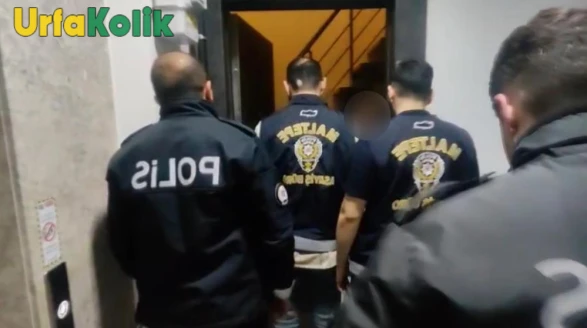 Şanlıurfa ve diğer 11 ilde çocuk istismarı operasyonu düzenlendi! Şüpheliler adliyeye sevk edildi.