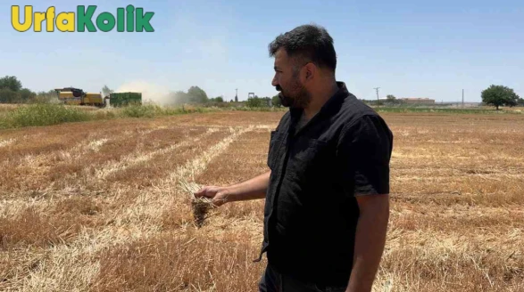Suruç'ta Anız Yakımı Çevre ve Toprak Verimini Olumsuz Etkiliyor