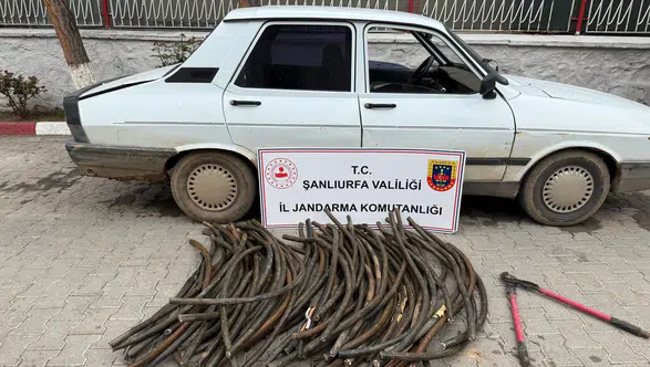 Ceylanpınar’da Kablo Hırsızlığı: 1 Milyon TL’yi Aşan Zarar, 1 Şüpheli Yakalandı