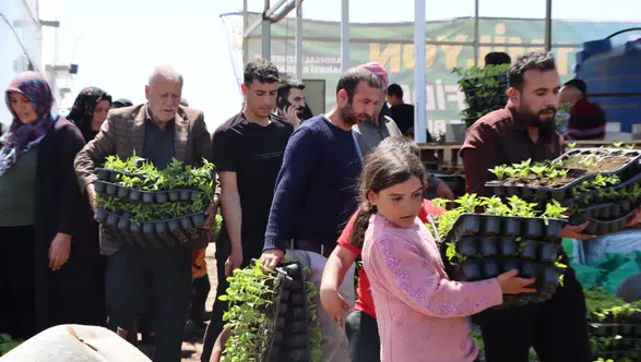 Büyükşehir, 1 Milyon Fide Dağıtarak Üreticiyi Destekledi