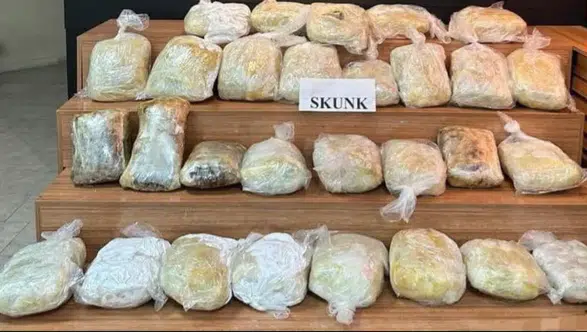 Şanlıurfa’da Uyuşturucu Operasyonu