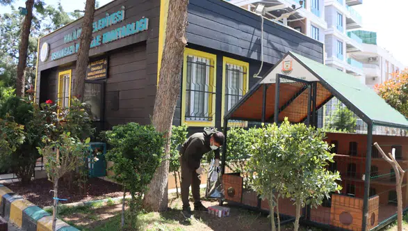 Büyükşehir Belediyesi’nden Sokak Kedileri İçin Örnek Proje