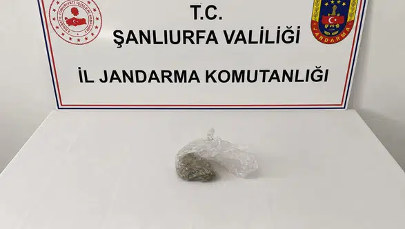 Şanlıurfa'da Traktör Kasasına Gizlenmiş 25 Kilo Skunk Ele Geçirildi