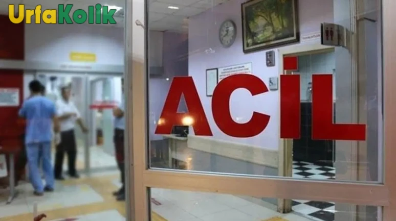 Şanlıurfa'da Trafik Kazası: Araç Takla Attı, Yaralılar Var