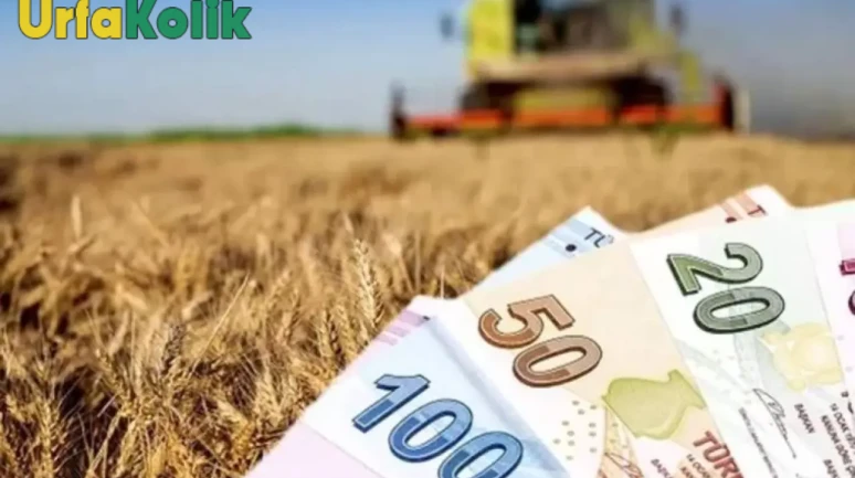 Tarım ve Orman Bakanlığı, destekleme ödemelerini bugün çiftçilerin hesaplarına aktarıyor.