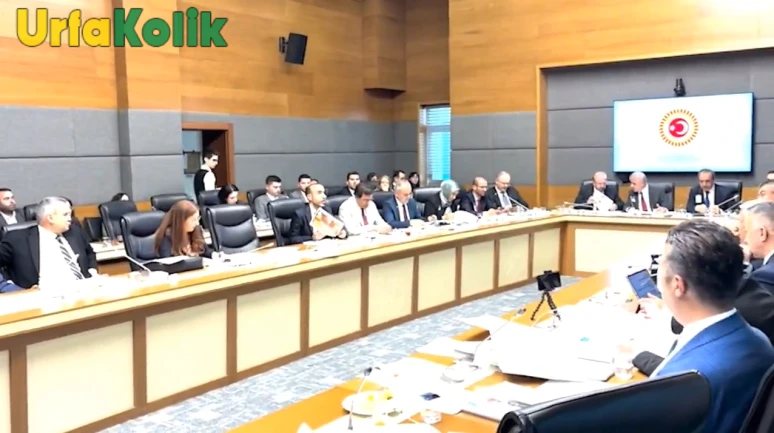 Vekil Şenyaşar'dan Çağrı: Urfa'da Elektrik Sorunlarına Son Verilmeli