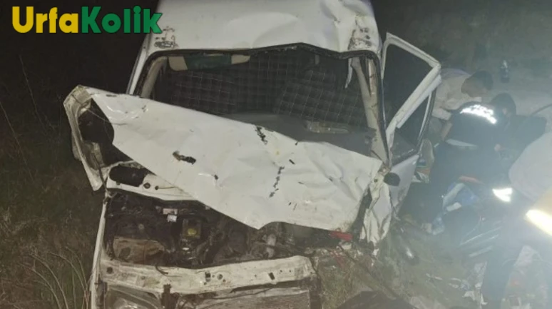 Malatya'da Minibüs Şarampole Uçtu: Kontrolden Çıkan Araç Kazaya Neden Oldu