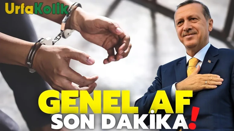 Genel Af Yasası Meclis Gündemine Girdi, Detaylar Belli Oldu!