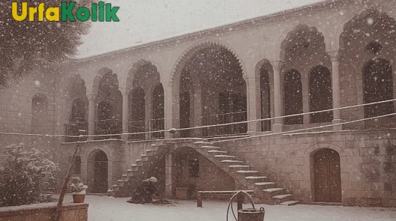 Urfa'da Kar Yağışının Ardından Unutulmaz Bir Hikaye Oluştu
