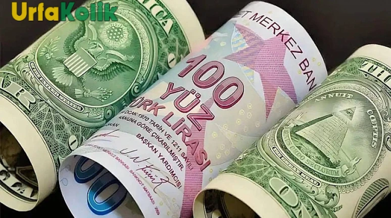 Dolar/TL Kuru Ne Kadar?