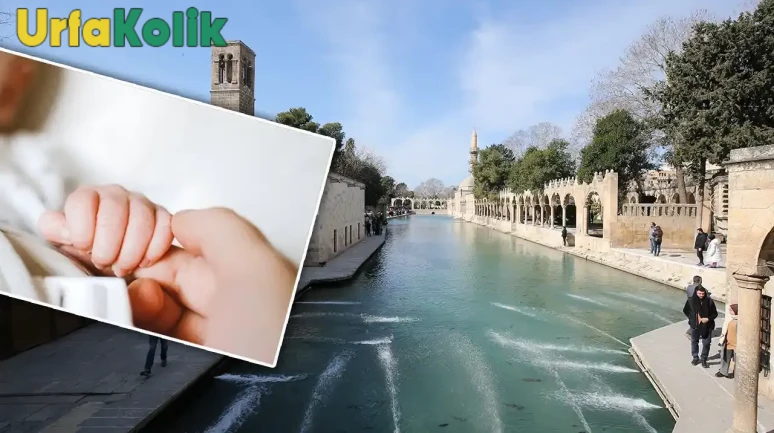 Şanlıurfa'da doğurganlık oranı Türkiye'de zirvede! Detaylar burada