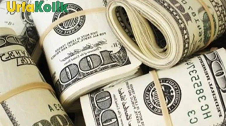 Dolar Kuru Yeni Haftaya Sabit Bir Başlangıç Yaptı!