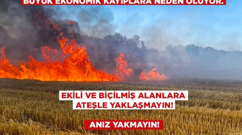 Şanlıurfa Valisi Anız Yangınları İçin Uyardı
