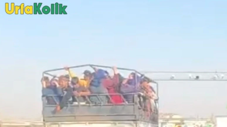 Siverek'te Balık Dolu Pikap Kazası: Kadın ve Çocuklar Anlık Görüntülendi!