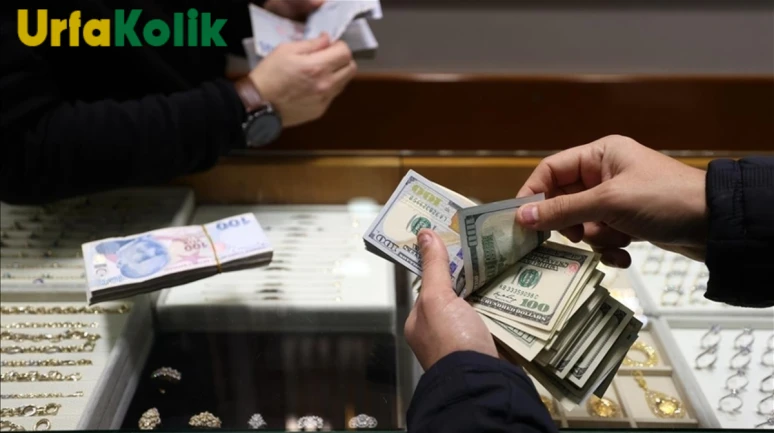TCMB Anketi: TÜFE'de Düşüş Bekleniyor, Dolar Kurunda Karışık Görünüm!