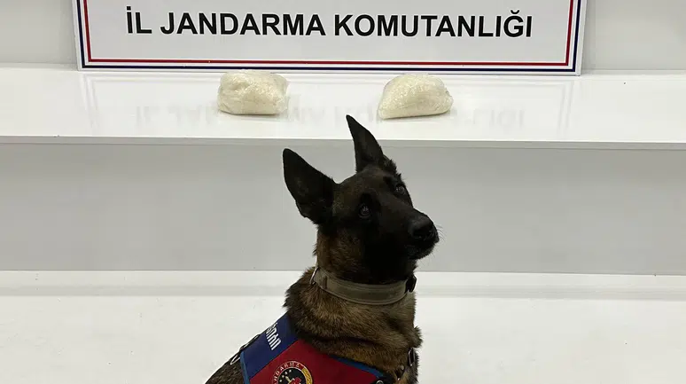 Viranşehir'de Jandarmadan Narkotik Darbesi
