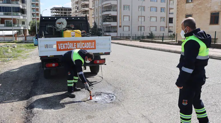 Büyükşehir’den Sivrisinek Ve Haşerelere Karşı Yoğun Mesai