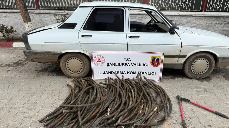 Ceylanpınar’da Kablo Hırsızlığı: 1 Milyon TL’yi Aşan Zarar, 1 Şüpheli Yakalandı