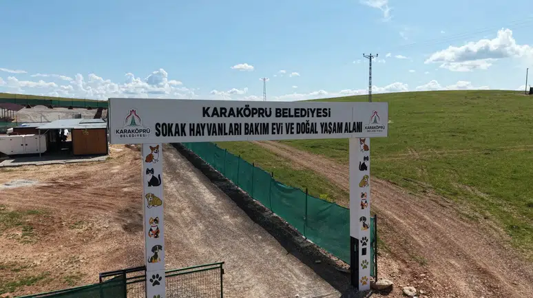 Karaköprü’de Sokak Hayvanlarının Doğal Yaşam Alanı Güçlendiriliyor