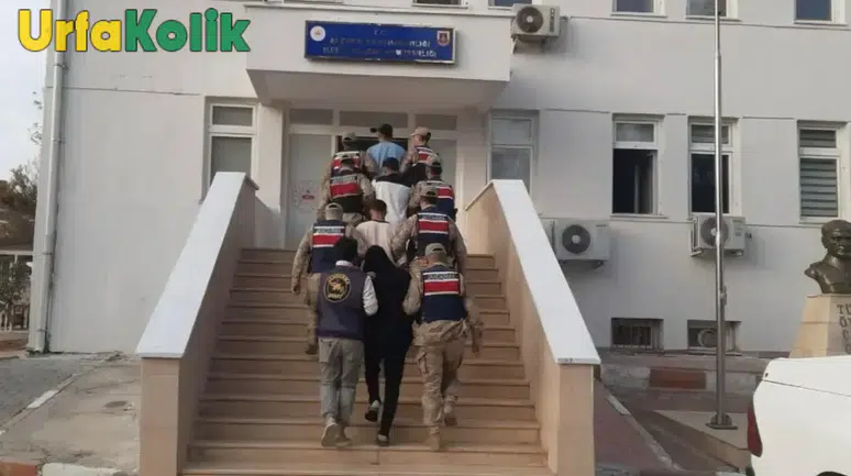 Urfa’da Göçmen Kaçakçılığı Operasyonu: 18 Organizatör Gözaltına Alındı