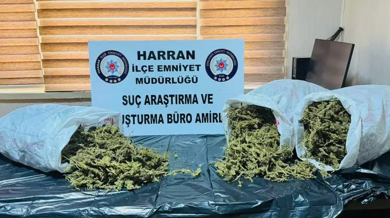 Harran’da Uyuşturucu Operasyonu